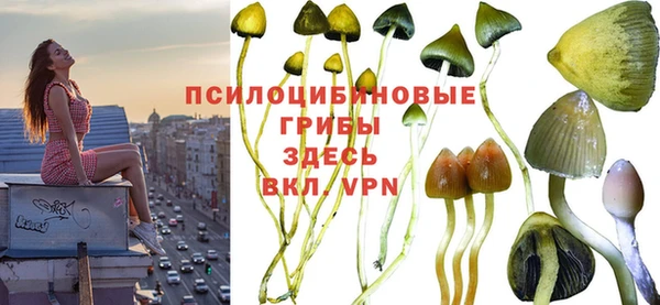 первитин Нефтекумск