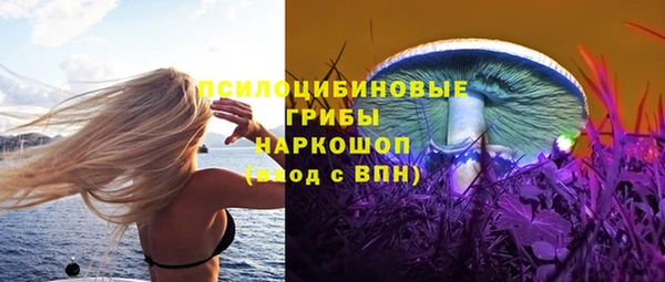 метадон Новозыбков