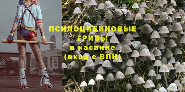 соль курить ск Нея