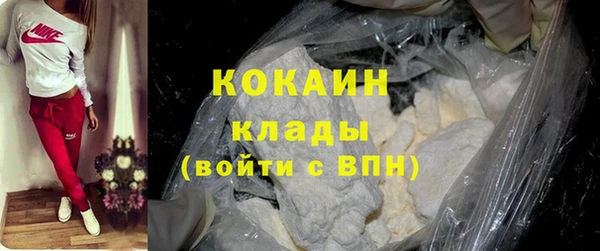 эйфоретик Бикин