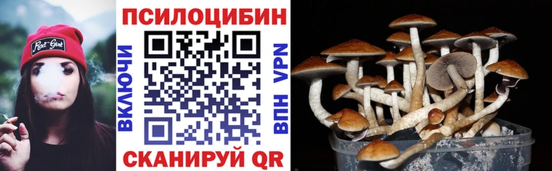 цены наркотик  Беломорск  Псилоцибиновые грибы Psilocybe 