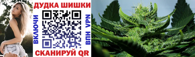 купить наркоту  Беломорск  Каннабис SATIVA & INDICA 